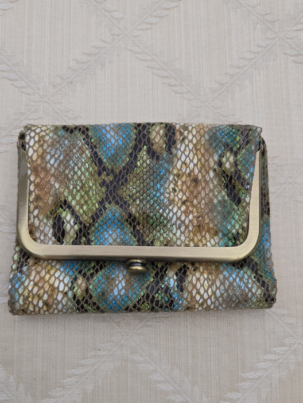 Hobo -Metal-Frame Snake Print Clutch in Multicolor